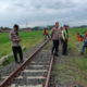 7 Kambing Mati Tertabrak Kereta saat Uji Coba KA Cepat di Sukoharjo