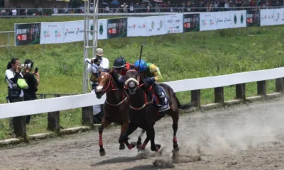 Dua Kuda Tewas Tabrakan Saat Sedang Berpacu, Joki Alami Patah Kaki
