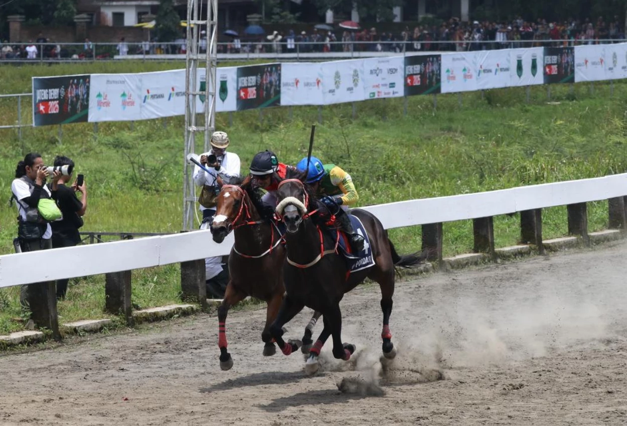 Dua Kuda Tewas Tabrakan Saat Sedang Berpacu, Joki Alami Patah Kaki