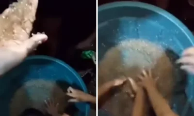 Heboh Fenomena Hujan Jeli Di Gorontalo, Ini Kata Bmkg