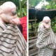 Heboh Soal Anak Babi Bermata Satu Dengan Telinga Mirip Manusia Di Ntt, Begini Kata Dokter Hewan