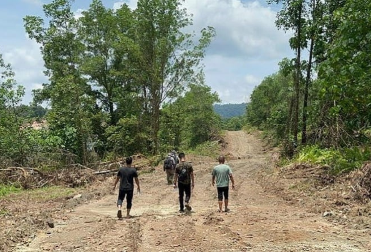 Kades Dan Sekdes Nekat Jual 150 Hektare Hutan Negara, Raup Keuntungan Rp16 Miliar