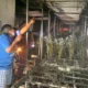 Ladang Ganja Di Thailand Kebakaran, Warga Pusing Hingga Asik Tertawa Sendiri