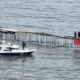 Mpnbagas(1250 X 849 Px) Mpn 2025 02 28t153336.133