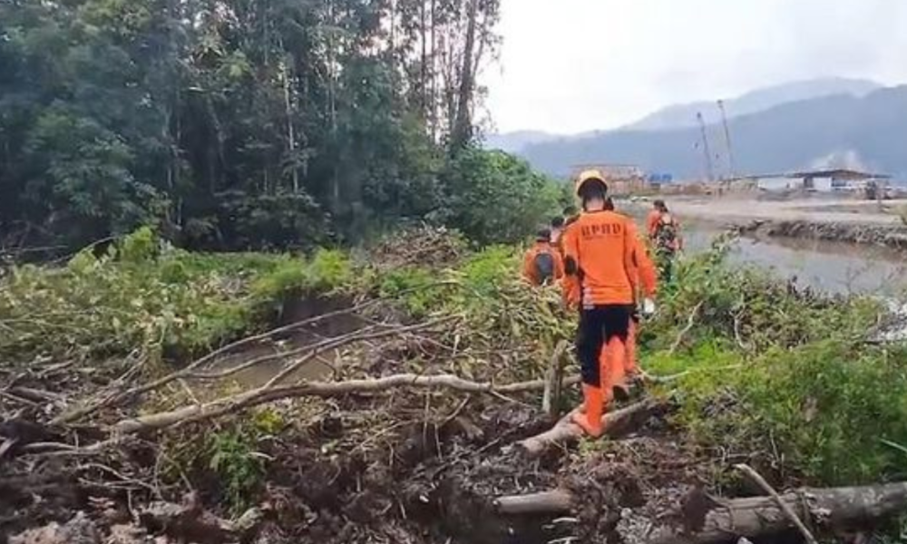 Mau Cuci Tangan Di Rawa, Pria Di Sulteng Malah Tewas Diterkam Buaya