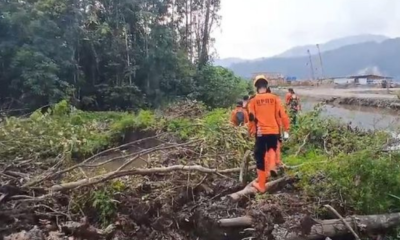 Mau Cuci Tangan Di Rawa, Pria Di Sulteng Malah Tewas Diterkam Buaya