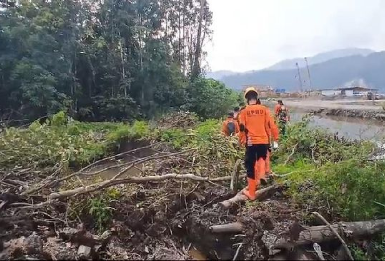 Mau Cuci Tangan Di Rawa, Pria Di Sulteng Malah Tewas Diterkam Buaya