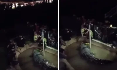 Ngaku Keluarga Buaya, Pria Di Sulsel Ini Malah Diterkam