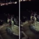 Ngaku Keluarga Buaya, Pria Di Sulsel Ini Malah Diterkam