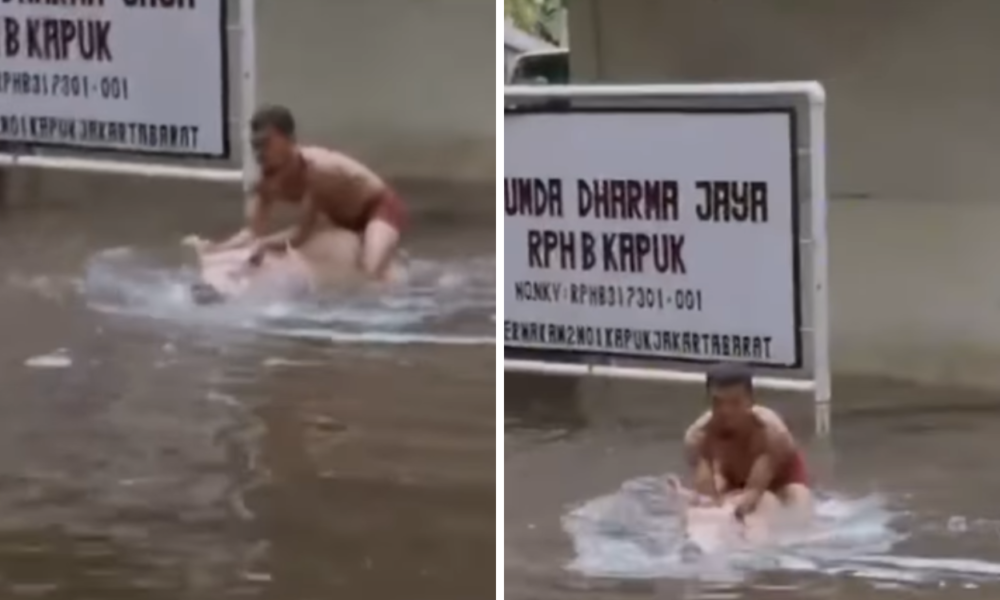 Pemuda di Jakbar Naik Babi Milik RPH saat Banjir, Netizen Naik Babi Juga Enak