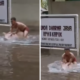 Pemuda di Jakbar Naik Babi Milik RPH saat Banjir, Netizen Naik Babi Juga Enak