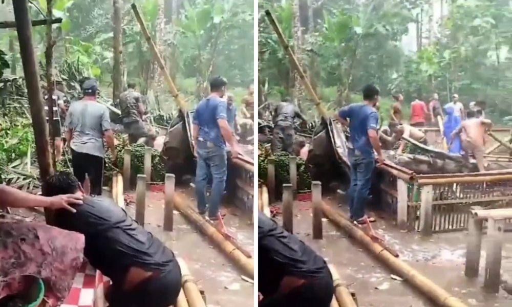 Pohon Aren Tumbang Tewaskan 3 Orang Dan 6 Lainnya Luka Luka Di Karangasem