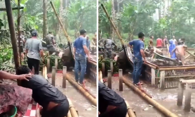 Pohon Aren Tumbang Tewaskan 3 Orang Dan 6 Lainnya Luka Luka Di Karangasem