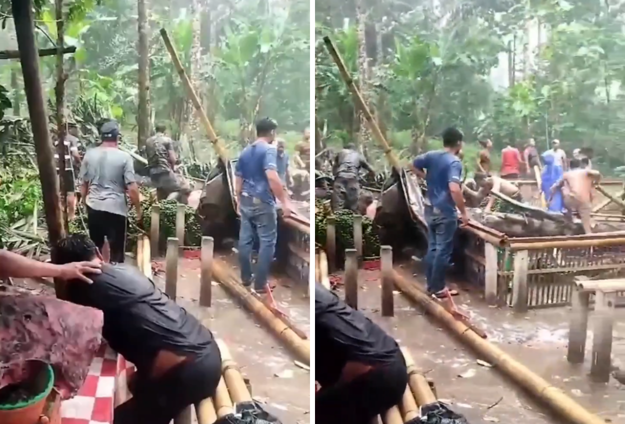 Pohon Aren Tumbang Tewaskan 3 Orang Dan 6 Lainnya Luka Luka Di Karangasem