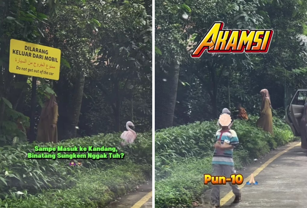 Satu Keluarga Kena Blacklist Taman Safari Usai Nekat Keluar Mobil Saat Di Area Satwa