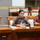 Sri Mulyani Tegaskan Tidak Ada Pemutusan Hubungan Kerja Untuk Tenaga Honorer Di Kementerian