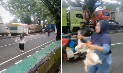 Truk Ayam Terjebak Macet Di Maros, Warga Beramai Ramai Ambil Ayam Potong