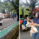 Truk Ayam Terjebak Macet Di Maros, Warga Beramai Ramai Ambil Ayam Potong