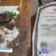 Waduh! Ijazah SMAN Colomadu jadi Kertas untuk Bungkus Lele Bakar
