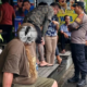 Warga Negara Kanada di Bali Ditangkap Usai Curi Perhiasan dan Tabrak Mobil Saat Kabur