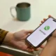 Begini cara mengetahui chat whatsapp yang habiskan banyak memori
