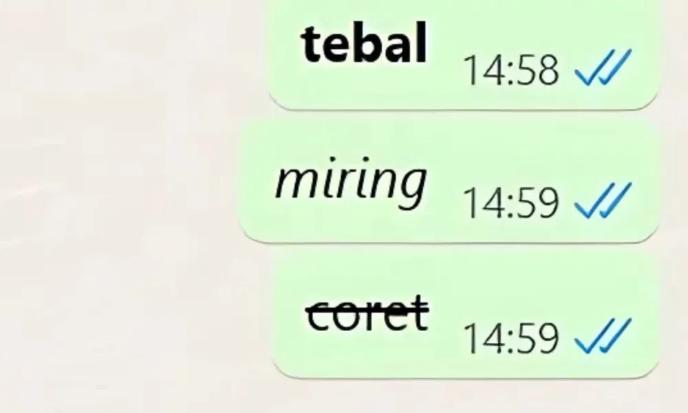 Chat whatsapp jadi lebih seru, ini cara format tulisan tebal, miring, dan dicoret