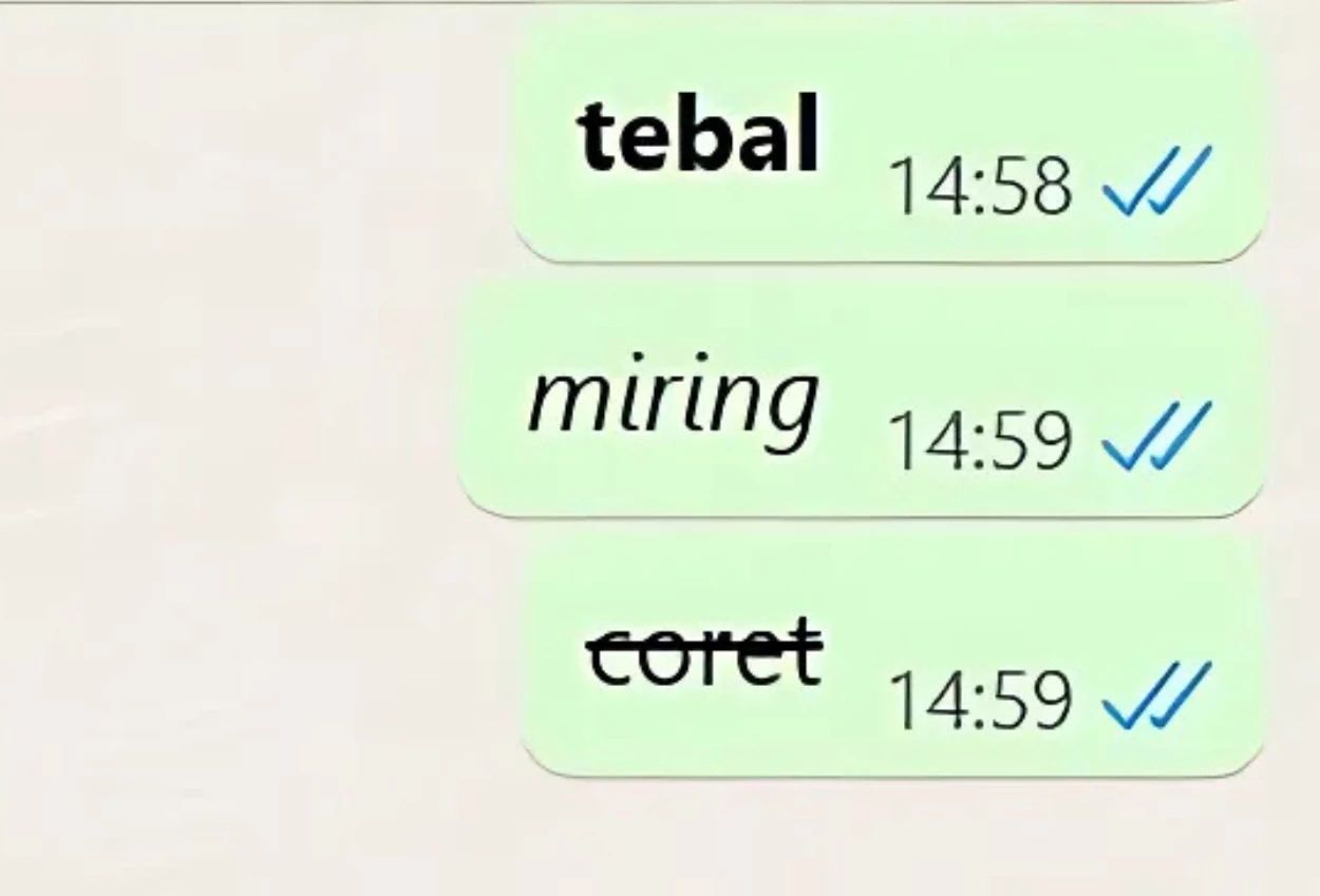 Chat whatsapp jadi lebih seru, ini cara format tulisan tebal, miring, dan dicoret