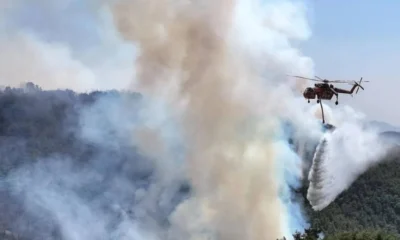 Helikopter damkar korea selatan jatuh saat padamkan kebakaran hutan, pilot dilaporkan tewas