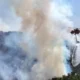 Helikopter damkar korea selatan jatuh saat padamkan kebakaran hutan, pilot dilaporkan tewas