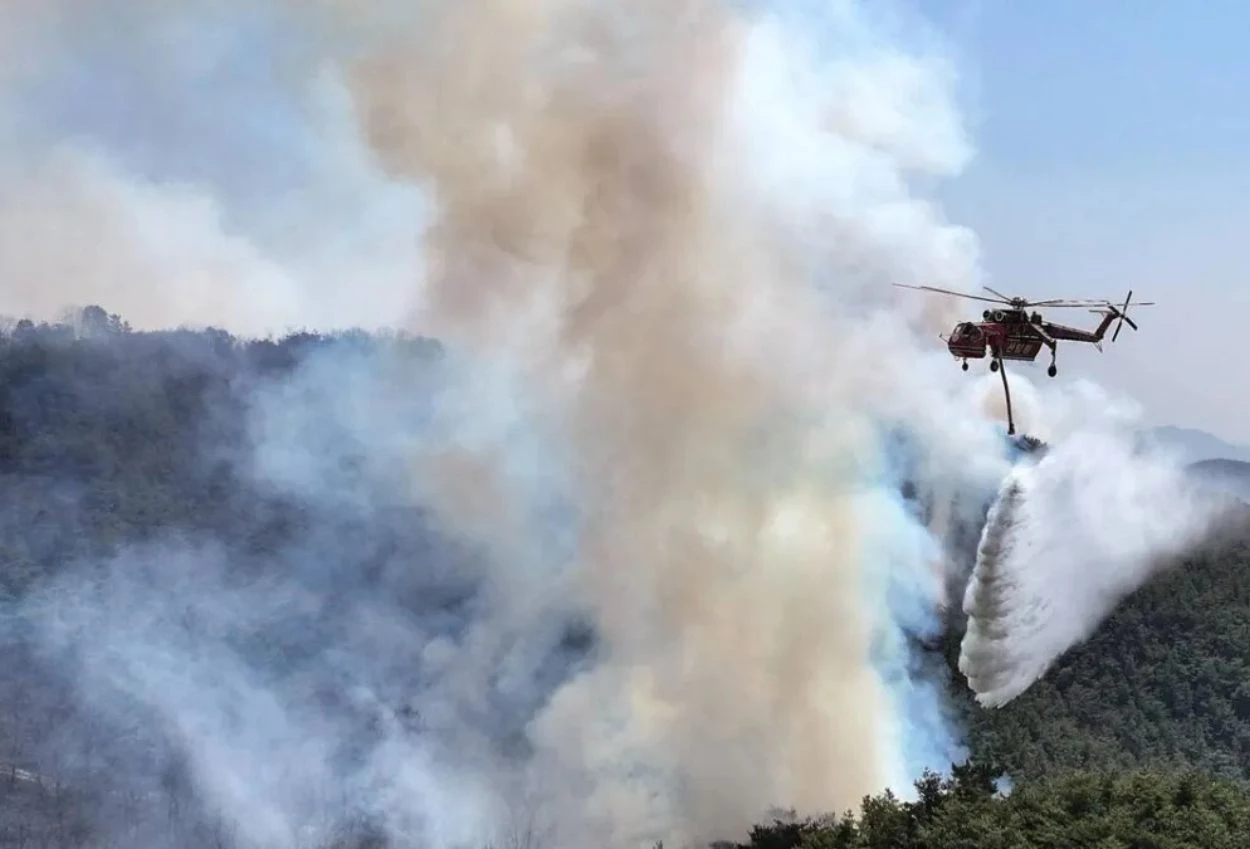 Helikopter damkar korea selatan jatuh saat padamkan kebakaran hutan, pilot dilaporkan tewas