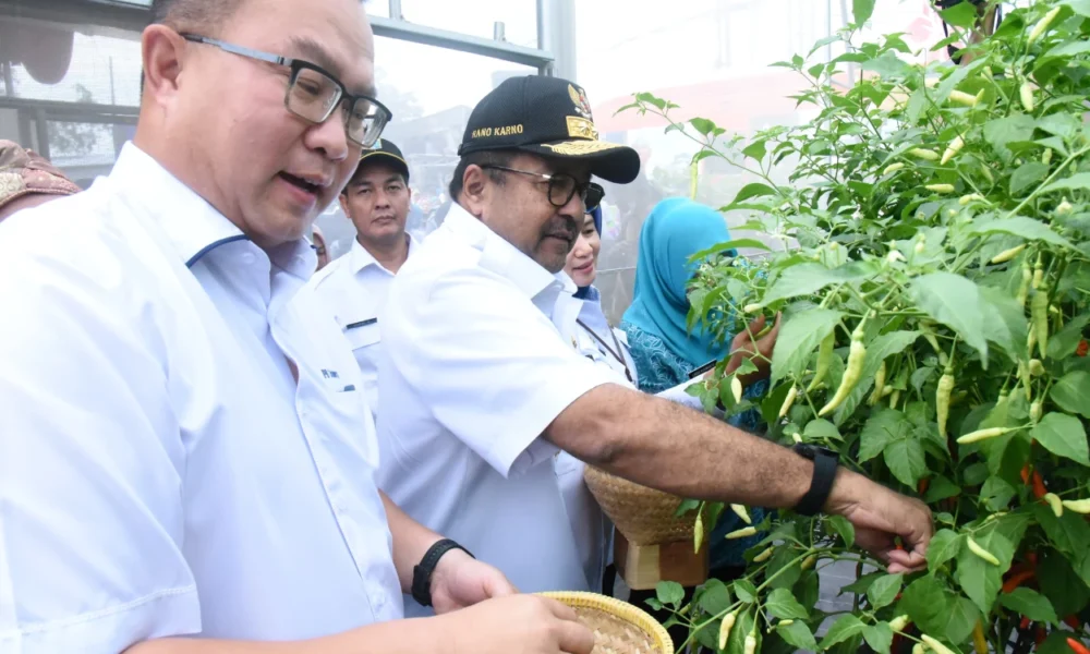 Jelang idulfitri, pemprov jakarta panen 20 ton hasil pertanian dan perikanan di 266 lokasi
