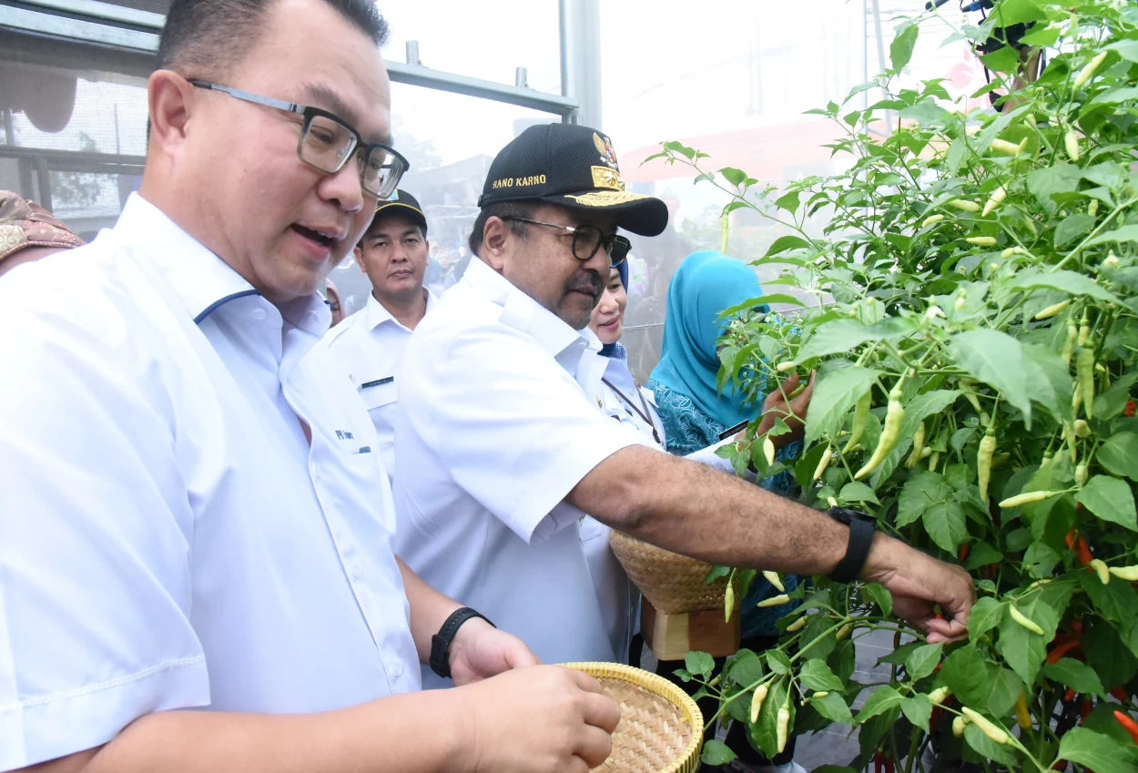 Jelang idulfitri, pemprov jakarta panen 20 ton hasil pertanian dan perikanan di 266 lokasi