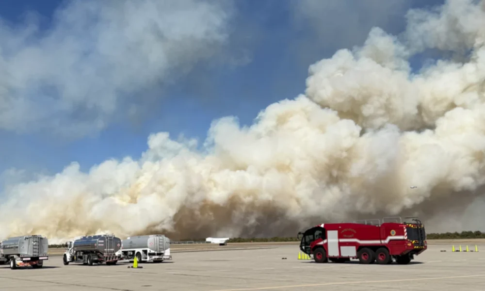 Kebakaran hutan terbesar di new york, long island terbakar hebat setelah los angeles