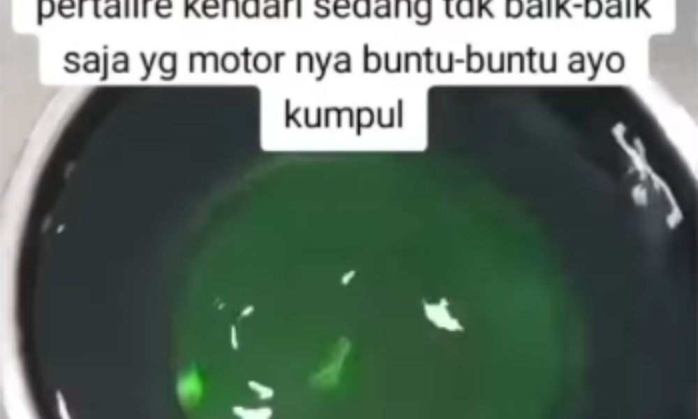 Mpnbagas(1250 x 849 px) mpn 2025 03 07t142534.104