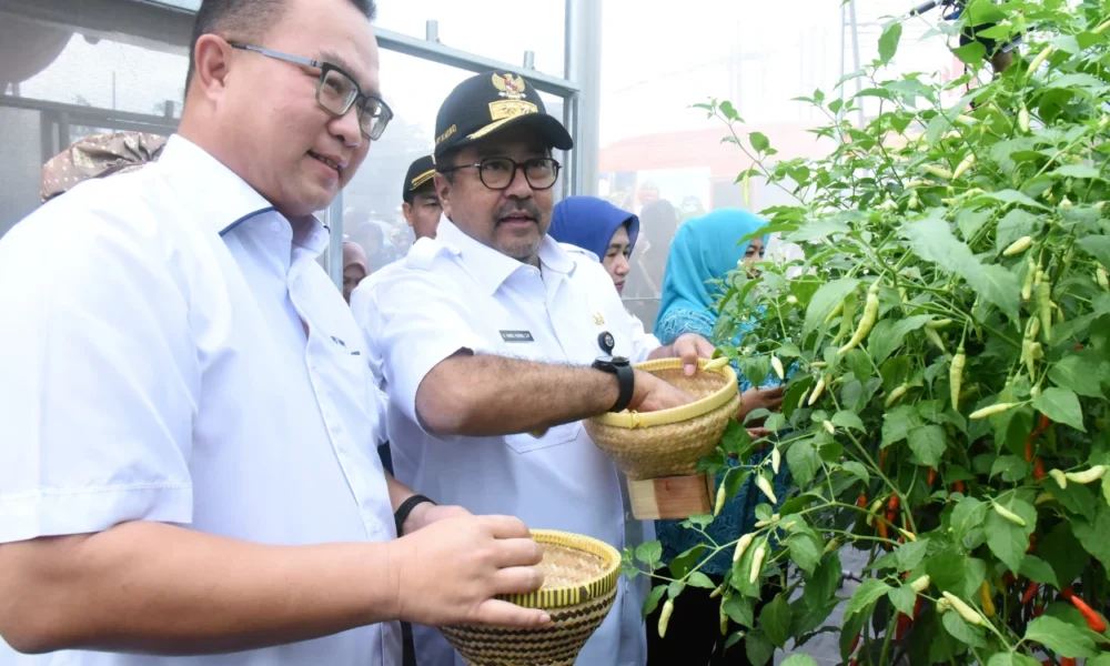 Pelaksanaan panen raya 2025 yang dipimpin wagub rano karno disiarkan secara online
