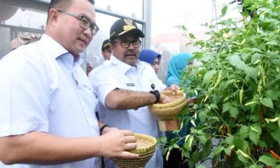 Pelaksanaan panen raya 2025 yang dipimpin wagub rano karno disiarkan secara online