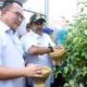 Pelaksanaan panen raya 2025 yang dipimpin wagub rano karno disiarkan secara online