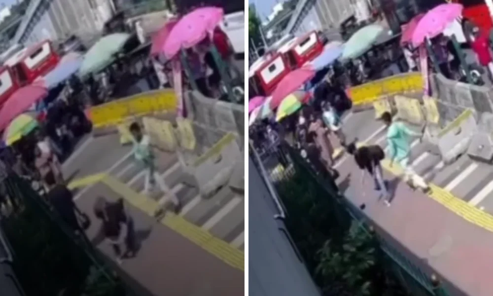 Pria mabuk yang bacok warga di depan stasiun tanah abang berhasil di