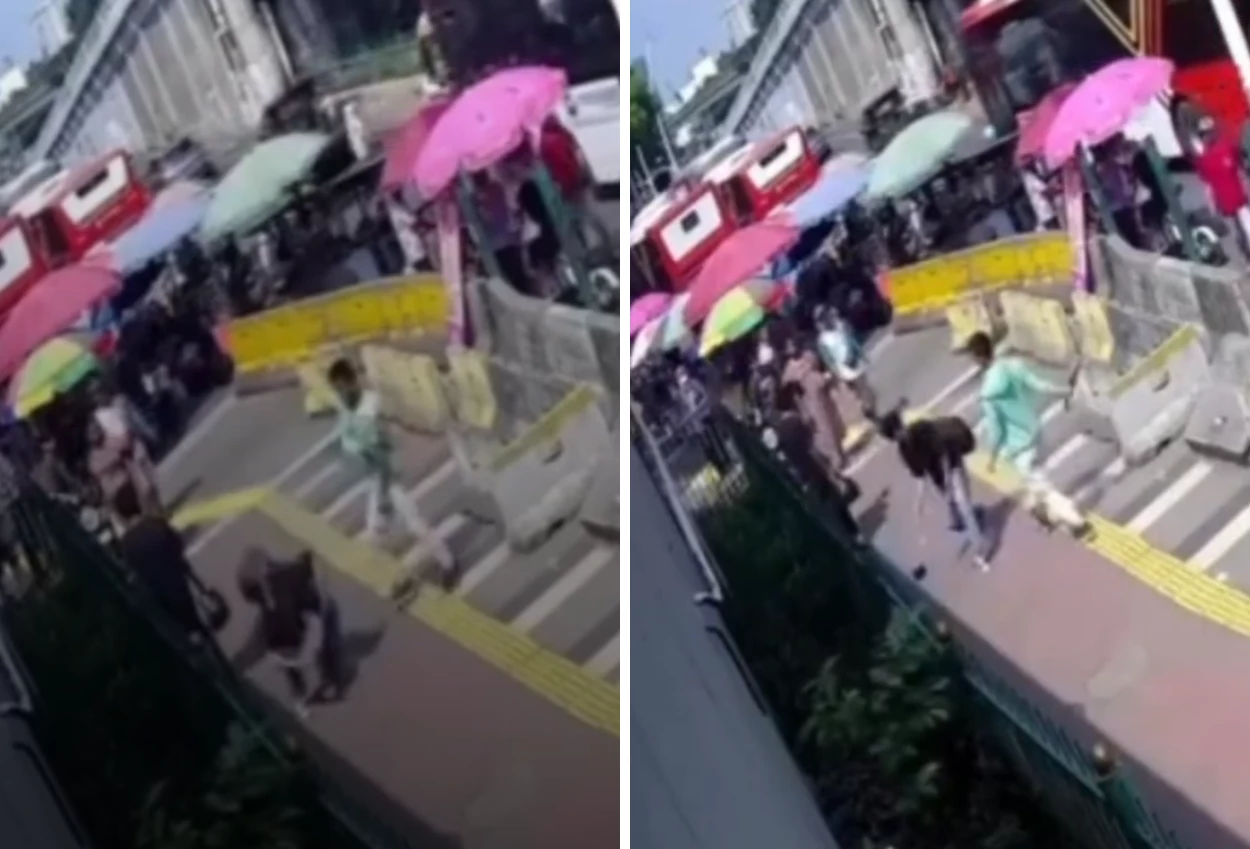 Pria mabuk yang bacok warga di depan stasiun tanah abang berhasil di