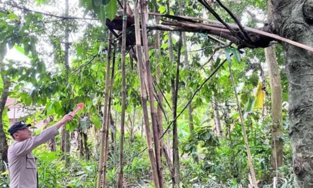 Tiga bocah di cilacap jadi korban ledakan mercon rakitan