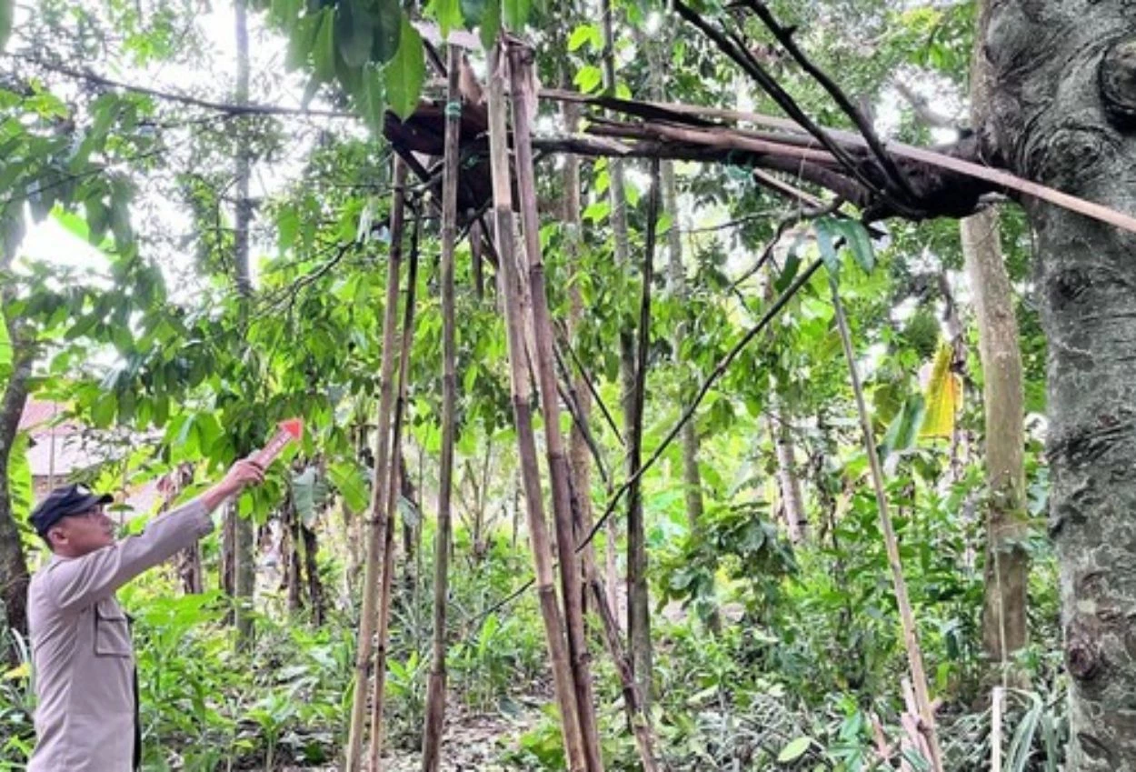 Tiga bocah di cilacap jadi korban ledakan mercon rakitan