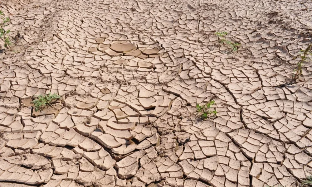 Bpbd jakarta paparkan strategi hadapi potensi kekeringan di tengah ancaman el nino