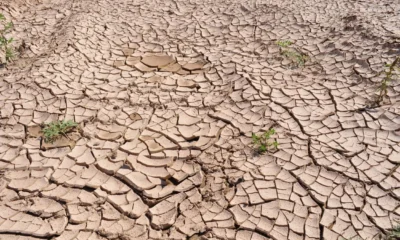 Bpbd jakarta paparkan strategi hadapi potensi kekeringan di tengah ancaman el nino