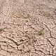 Bpbd jakarta paparkan strategi hadapi potensi kekeringan di tengah ancaman el nino