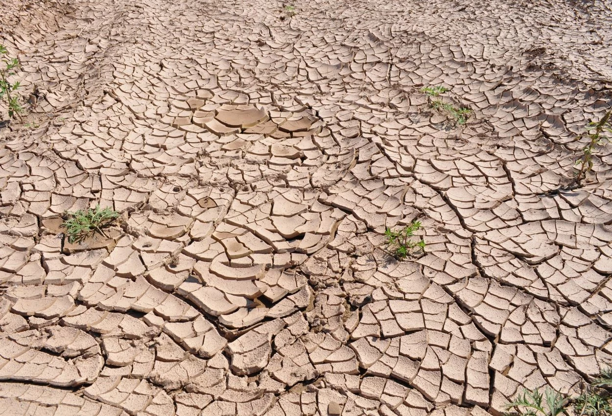 Bpbd jakarta paparkan strategi hadapi potensi kekeringan di tengah ancaman el nino