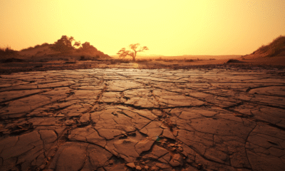 Mpnbagas(1250 x 849 px) mpn 2025 04 17t134447.433