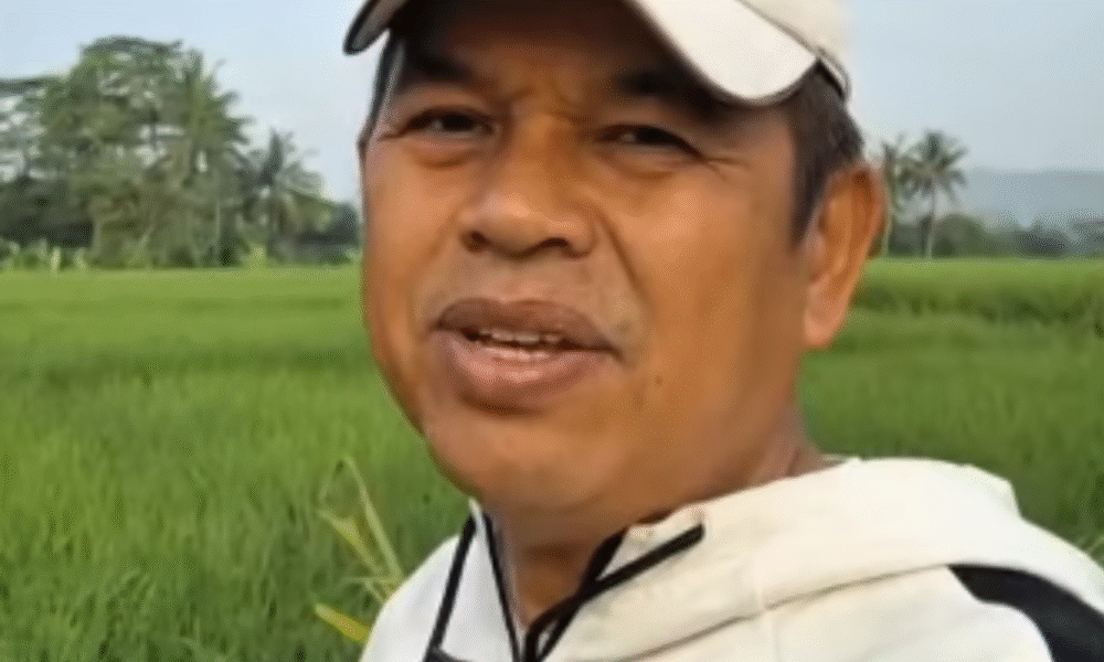 Mpnbagas(1250 x 849 px) mpn 2025 04 22t121539.151