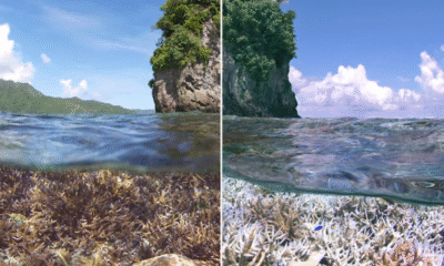Mpnbagas(1250 x 849 px) mpn 2025 04 30t155456.175