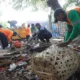 Tindak tegas tps liar, dlh kota tangerang bersihkan jalan protokol