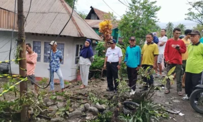 Truk sawit tabrak rumah di padang, dua balita tewas saat tidur